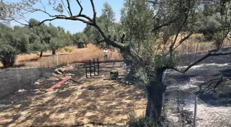 Foça'daki Yangının Kaynağı Kaynak Makinesi olarak Belirlendi