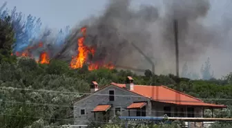 İzmir'de orman yangını yerleşim yerine kadar ulaştı