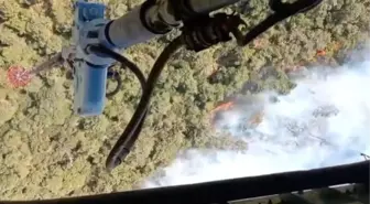 Foça'da Orman Yangınına Havadan ve Karadan Müdahale