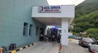 Kastamonu'da Akrebin Soktuğu Yaşlı Kadın Hastaneye Kaldırıldı