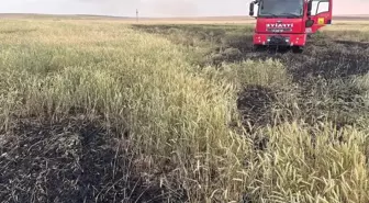 Konya'da Arpa Ekili Tarlada Yangın: 10 Dekar Zarar Gördü