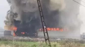 Mersin'de Pamuk Deposunda Yangın Çıktı
