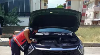 Otomobilin Kaputundan Kurtarılan İki Yavru Kedi