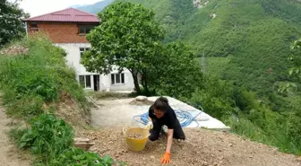Sanatçı Kısmet Ekim Tekinbaş, İstanbul'dan Köyüne Dönerek Yeni Bir Hayat Kurdu