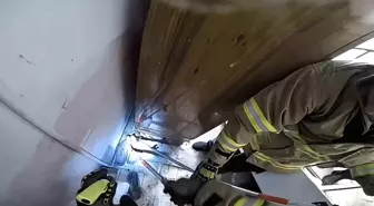 Safranbolu'da Ayakkabılıkta Gizlenen Zehirli Yılan Panic Yarattı