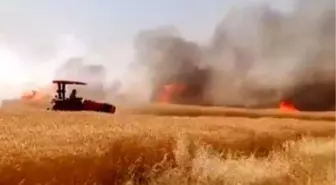 Harran'da 170 Dönümlük Buğday Tarlasındaki Yangın Kontrol Altına Alındı