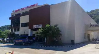 İnebolu'da Üzüm Yaprağı Toplayan Kadın Düşerek Hayatını Kaybetti