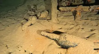 Carthage Gemisinden 110 Yıllık Şarap Şişesi Bulundu