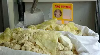 Aho Peyniri İçin Coğrafi İşaret Başvuru Süreci Devam Ediyor
