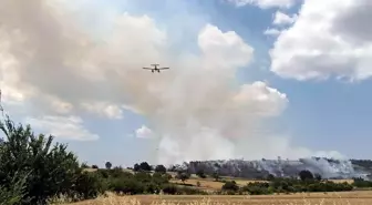 Edirne'de Anız Yangını Ormana Sıçradı