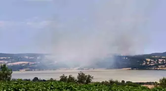 Edirne'de Orman Yangını Kontrol Altına Alındı