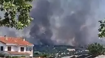 Edirne'de Orman Yangınına Hızla Müdahale Ediliyor