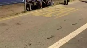 Kadıköy'de Denizde Boğulan Genç Hayatını Kaybetti