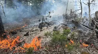 Kastamonu'da Orman Yangını Hızla Söndürüldü
