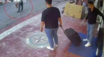 Samsun'da Vatandaş Kediyi Heimlich Manevrası ile Kurtardı