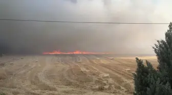Manisa'da Tarım Arazisinde Yangın Çıktı