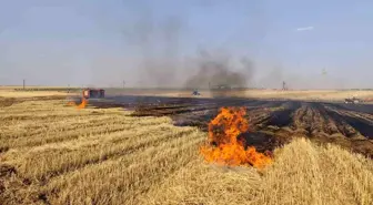 Mardin'de Anız ve Orman Yangınları Kontrol Altına Alındı