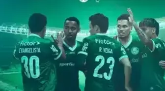 Palmeiras hangi ülkenin takımı, hangi ligde oynuyor?