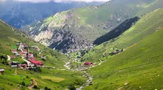 Trabzon'da yaylaya çıkan 75 kişi kayboldu