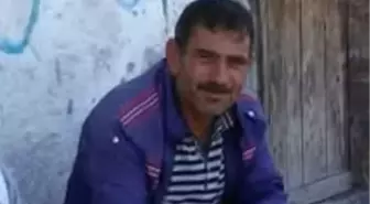 Kene Kurbanı: Kayseri'de Piknikte Keneyi Çıkaran Adam Hayatını Kaybetti