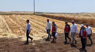 Adıyaman'da Tohumculuk Faaliyetleri Yerinde İncelendi