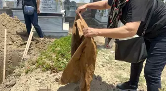 Adana'da Pikap Kazasında Baba ve İki Kızı Hayatını Kaybetti