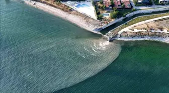 Beylikdüzü'nde Kirlilik: Marmara Denizi Kahverengiye Döndü