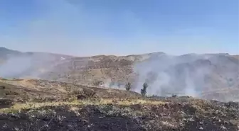 Bingöl'ün Yayla Köyü'nde Çıkan Yangın 2 Saatte Söndürüldü