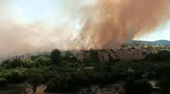 Diyarbakır'da Kırsal Alanda Örtü Yangını