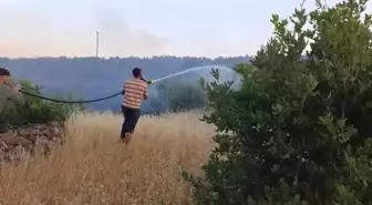 Diyarbakır'da Kırsal Alanda Yangın: 15 Hektar Alan Yandı