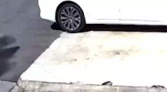 Diyarbakır'da Trafik Kazası Kameralara Yansıdı
