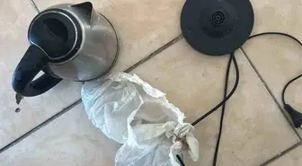 Tekman'da Elektrik Akımına Kapılan Kadın Hayatını Kaybetti