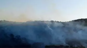 Hatay'da Orman Yangını Kontrol Altına Alındı