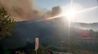 Hatay'da Orman Yangınına Havadan ve Karadan Müdahale
