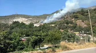 Hatay'da Orman YangınıKontrol Altına Alındı