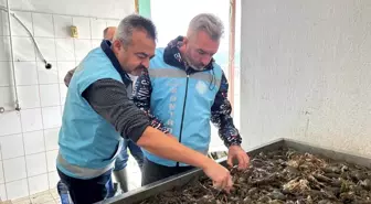 Isparta'da Sazangiller ve Kerevit Av Yasağı Sona Erdi