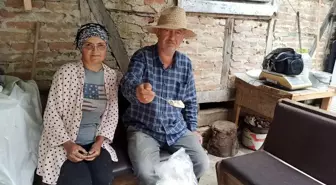 İstanbul'dan Zonguldak'a Dönüş: Kardeşler Salep Üretimine Başladı