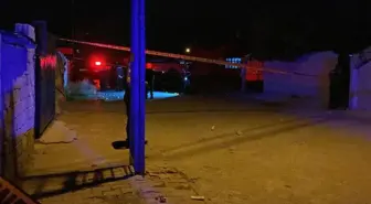 Eniştenin kuma isteği faciaya neden oldu