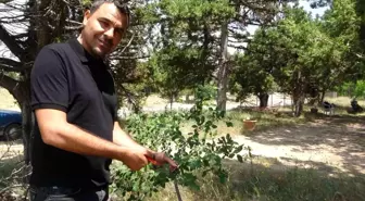 Sahte Hesapla Verilen Cenaze İlanı: 2 Çocuk Babası Şokta