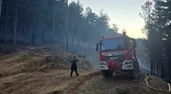 Adana'nın Feke İlçesinde Orman Yangını Kontrol Altına Alındı