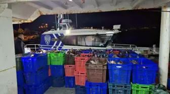 Samsun açıklarında 6 ton kaçak kalkan balığı ele geçirildi