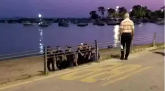 Uğurcan Ceyhaner kimdir, kaç yaşındadır? Kadıköyde boğulan Uğurcan Ceyhaner boğuldu mu, neden öldü?