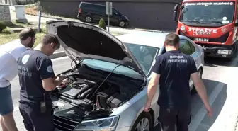 Bursa'da Trafiği Kilitleyen Yavru Kedi Olaya Sebep Oldu