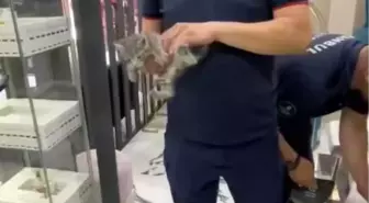 Küçükçekmece'de Yavru Kediler Alçıpan Duvar Arasından Kurtarıldı