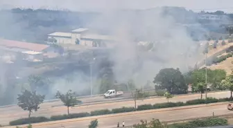 Ankara'da Atatürk Orman Çiftliği'nde örtü yangını