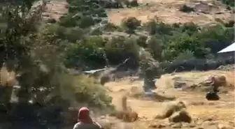 Bingöl'de Hortum Tarla Şenliği Yüzünden Çiftçileri Zor Duruma Soktu