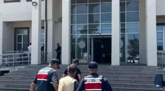 Çanakkale'de Yasa Dışı Kenevir Ekimi: 1 Tutuklama