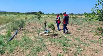 Çanakkale'de Tarımsal Sulama Elektrik Aboneliklerine Denetim Başlatıldı