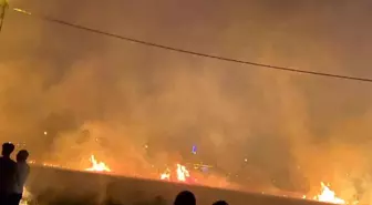 Diyarbakır'da Yangın: 40 Dönüm Buğday Tarlası Ziyan Oldu