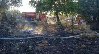 Edremit'te Zeytinlik Alanda Yangın, Çok Sayıda Ağaç Zarar Gördü